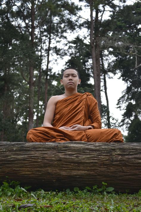 Filebuddhist Monk Meditation Wikimedia Commons
