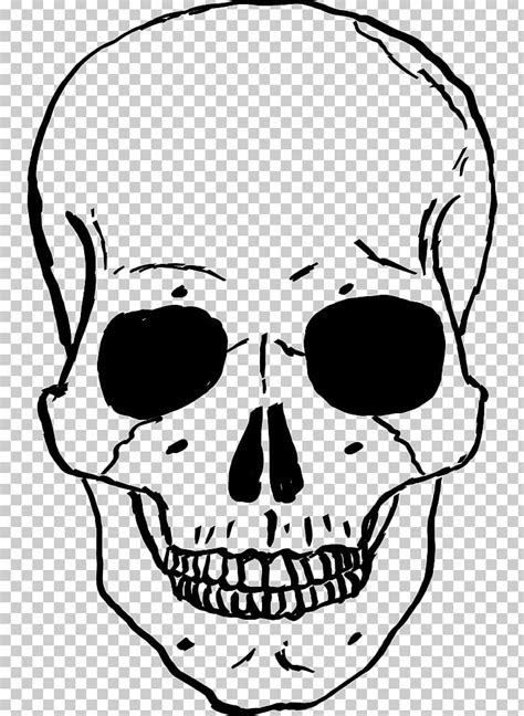 Skull Human Skeleton Drawing Png Clipart Artwork Black And White