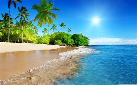 Check spelling or type a new query. Beach, Tropical Island Ultra HD Desktop Background ...