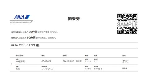 Ana 国内線 航空券 V Carehk