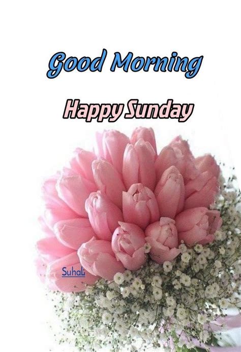 Amazing Collection Of Full 4k Good Morning Happy Sunday Images Top 999