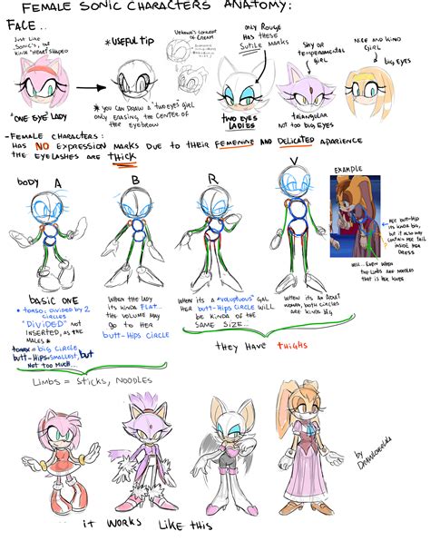Female Sonic Characters Anatomy By Drawloverlala On Deviantart How To