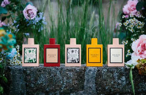 However, it is still absolutely among the best of the entire line, and very worth trying out. New talents shine as Gucci Bloom Profumo di Fiori takes ...