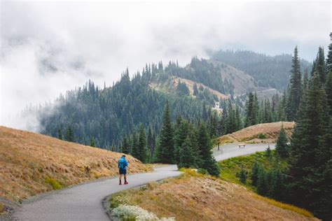 Your Guide To Hurricane Ridge Trails And More In Olympic National Park
