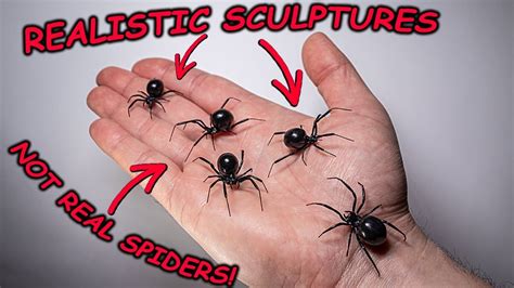 Making A Realistic Black Widow Spider Fridge Magnetprank Spider