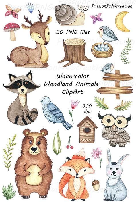 Watercolor Woodland Animals Clipart Animal Clipart Woodland Animals