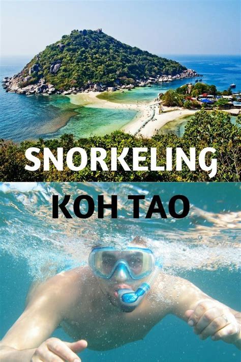 Koh Tao Snorkeling Everything You Need To Know Touren Urlaub