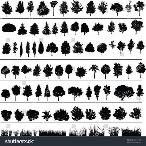 Set Of Silhouettes Of Trees Bushes And Grass Stock Vector 53343154