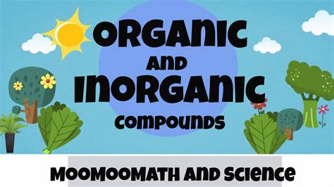 Difference Between Organic And Inorganic Compounds Youtube