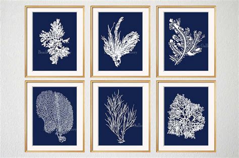 Navy Blue Coral Prints Set Of 6