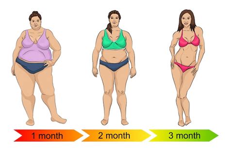 Premium Vector Evolution Of The Female Body From Fat To Thin