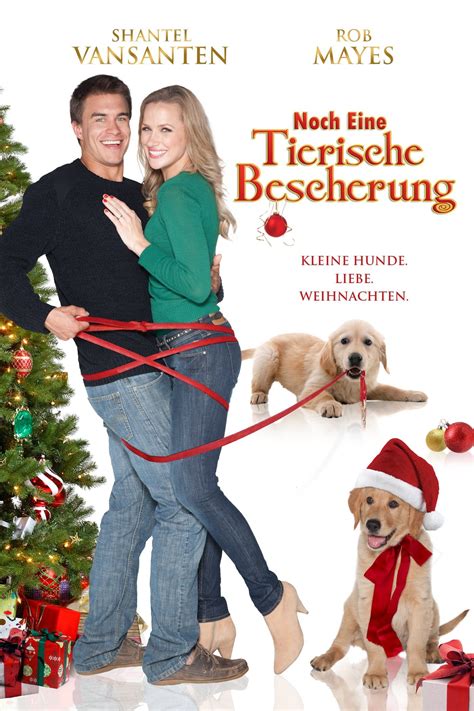 Halloween 1978 / full hd 1080 eng (eng sub). Watch A Golden Christmas 3 FULL MOVIE HD1080p Sub English ...