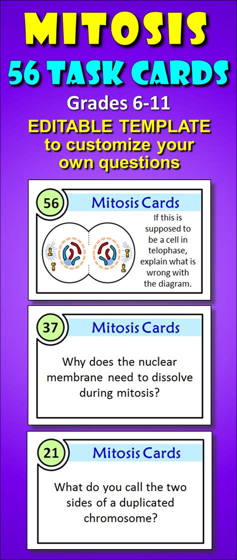 Worksheets are mitosisworklayerspartsflat2, mitosisworkphasesflat7, cells some of the worksheets displayed are mitosisworklayerspartsflat2, mitosisworkphasesflat7, cells alive meiosis phase work answers pdf. Cells Alive Mitosis Phase Worksheet Answers - worksheet