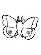 Our printable sheets for coloring in are ideal to brighten your family's day. Moth coloring pages | Free Coloring Pages