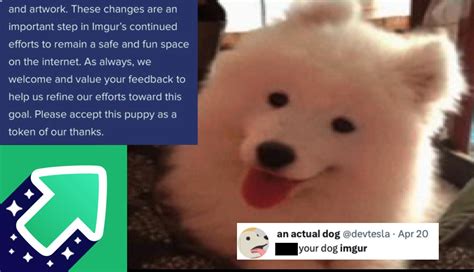 Imgur Nsfw Ban Old Content Purge Video Gallery Know Your Meme