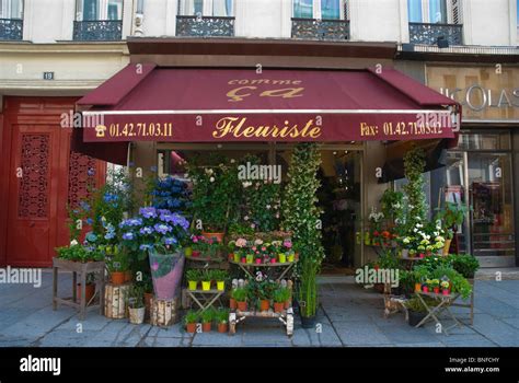 Flower Shop Rue Saint Antoine Le Marais District Paris France Europe