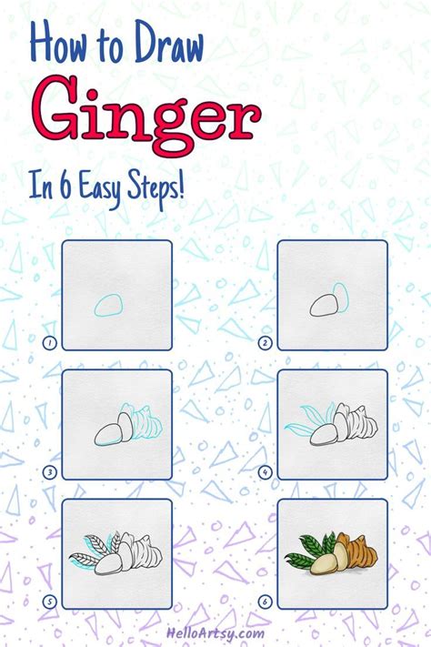 How To Draw Ginger 6 Step Drawing Lesson For Beginners In 2022