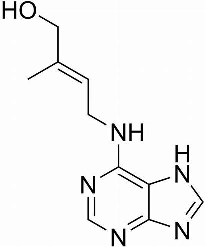 Cytokinin Zeatin Auxin Structure Cytokinins Plant Hormone