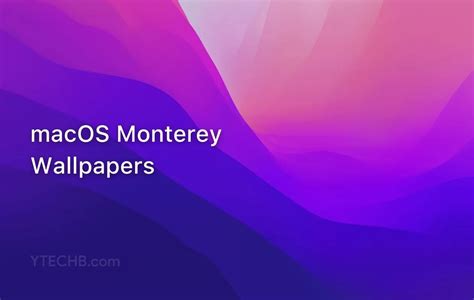 Download Macos Monterey Wallpapers 6k Resolution Official