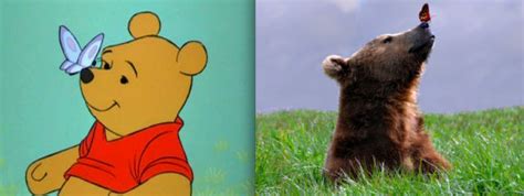 Adorable Disney Animals In Real Life 21 Pics