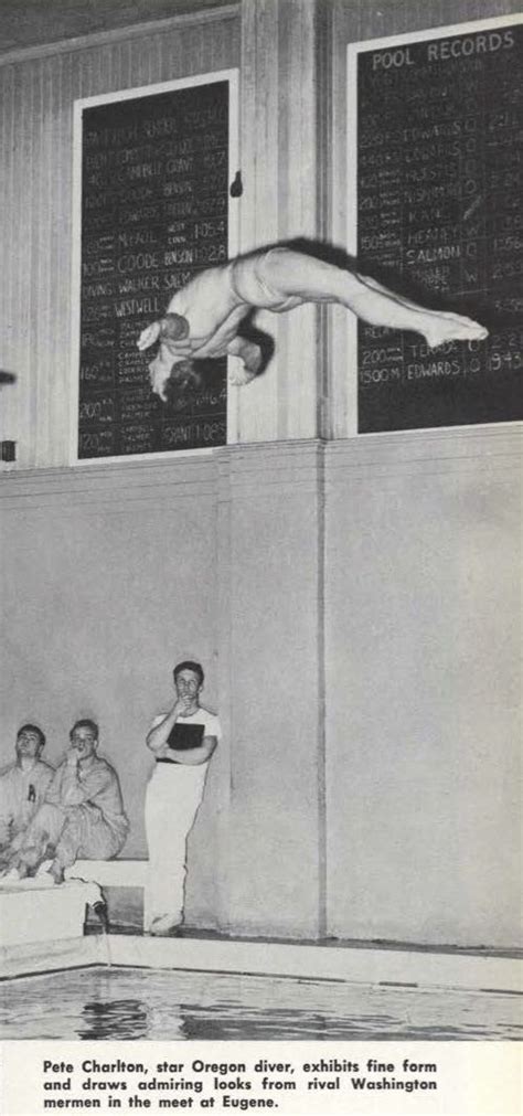 Oregon Swim Team Diver Pete Charlton In A Meet Vs Washington 1952