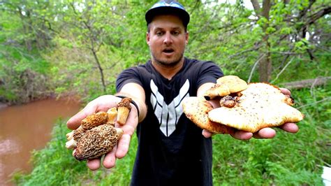 Safe To Eat Catch N Cook Wild Mushrooms From The Forest Youtube