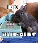 Telephone Answering Funny Pictures