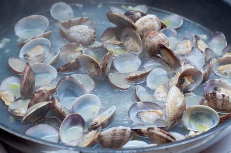 Transfer to a large pot and add 3 1/2 cups water. Rhode Island Clam Chowder - Served From Scratch