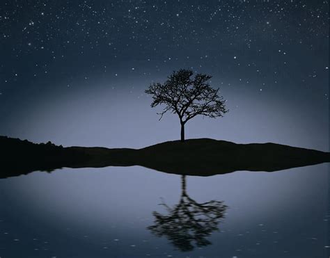 Serene Night Wallpaper