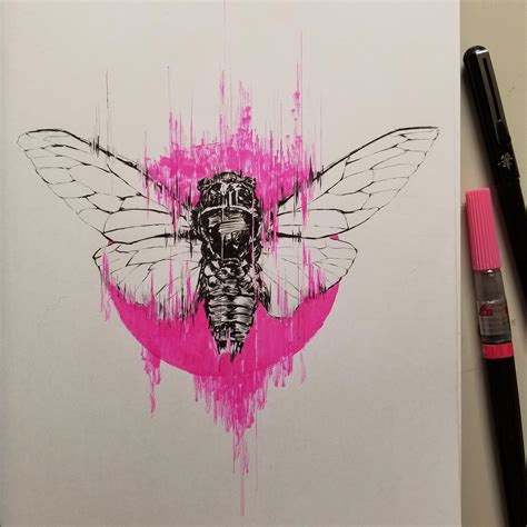 Collection Background Images Cicada Ink And Art Updated