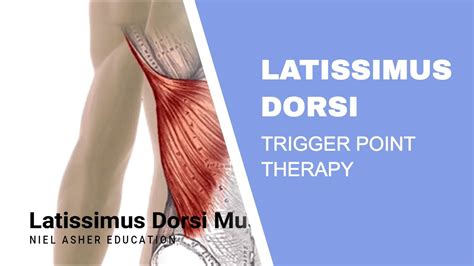 Latissimus Dorsi Trigger Points Youtube