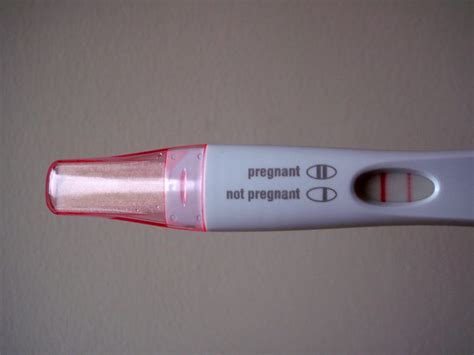 How To Read A Pregnancy Test Positive And Negative Results