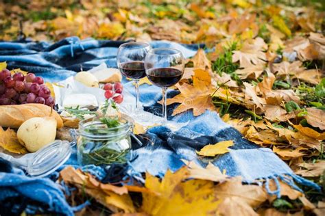 Cozy Autumn Picnic Stock Image Image Of Dinner Fruits 61880305
