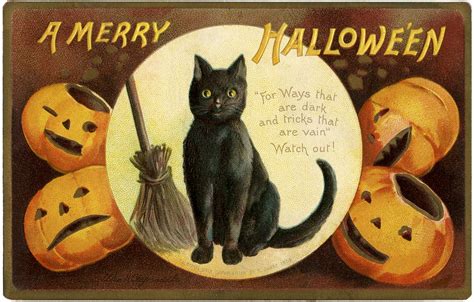 14 Black Cat Clipart Halloween The Graphics Fairy