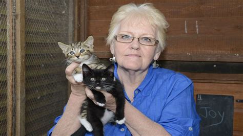 Deal Vet Jeremy Pearson Reimburses Kingsdown Cat Sanctuary After Thief
