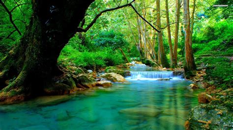 Waterfalls Stream Scenery Green Trees Bushes Plants Rocks River Hd