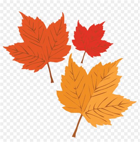 Autumn Leaves Svg Scrapbook Cut File Cute Clipart Files Maple Leaf