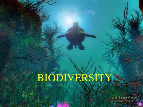 Ppt Biodiversity Powerpoint Presentation Free Download Id3406463