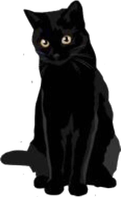 Siamese Cat Kitten Puppy Black Cat Clip Art Cats Png Download 1371