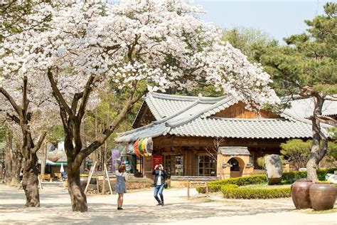 Day Trip To Nami Island With The Garden Of Morning Calm Triphobo