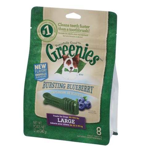 Buy Greenies Large 340g Blueberry Flavour Dog Dental Treats 8 Treats