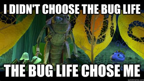 Funny Insect Memes And S Feel Free To Add Your Own Mymy Butterfly