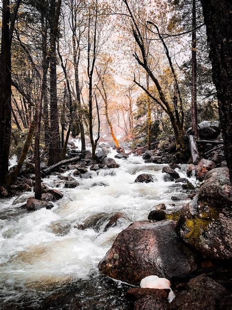 Creek Définition De Creek La Langue Française