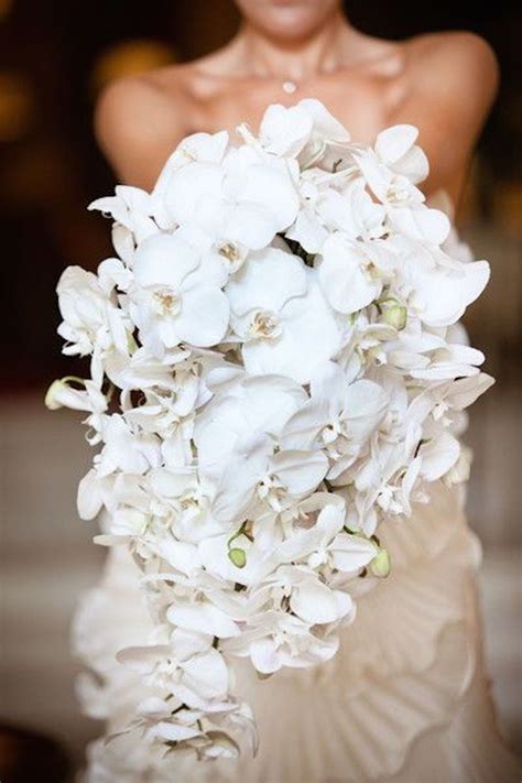 Maybe you would like to learn more about one of these? Orchid Wedding Bouquet