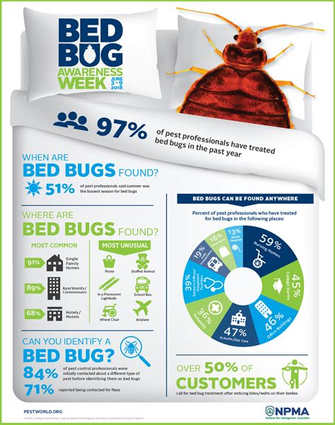 How To Get Rid Of Bed Bugs Parker Pest Control