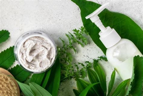 5 Organic Indian Skincare Products For Oily Acne Prone Skin Missmalini
