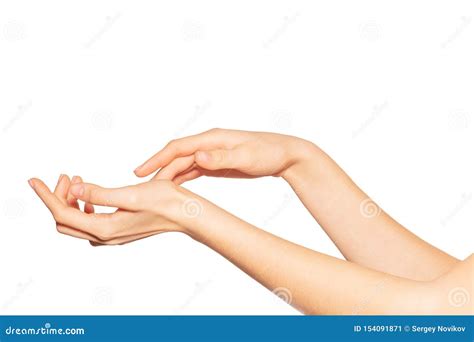 Pair Of Female Hands Isolated On White Background Stock Image Image Of Model Isolated