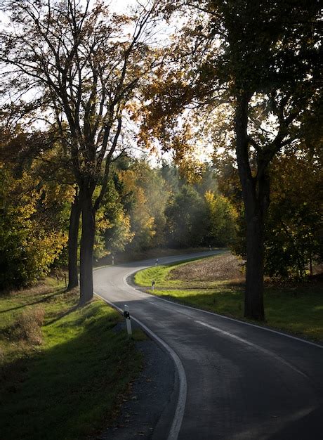 Free Photo Vertical Shot Of A Winding Road In The Park