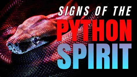 Some Signs That The Python Spirit Is Attacking Your Life Youtube Spirit Signs Bible