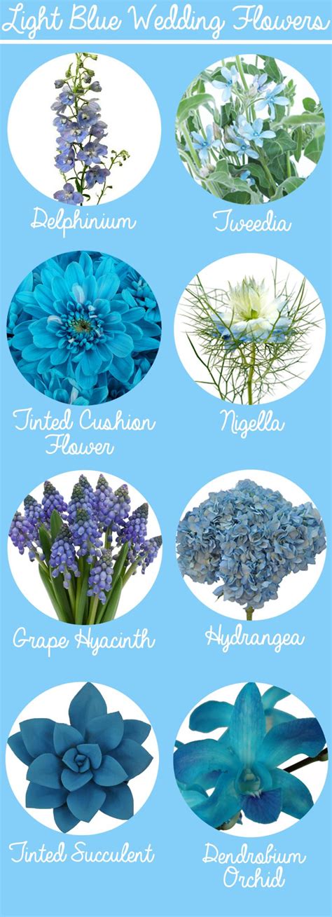Shop For Flowers By Color At Fiftyflowers Com Blue Wedding Flowers
